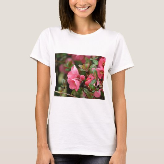 春のピンクの花梨 Tシャツ (正面)