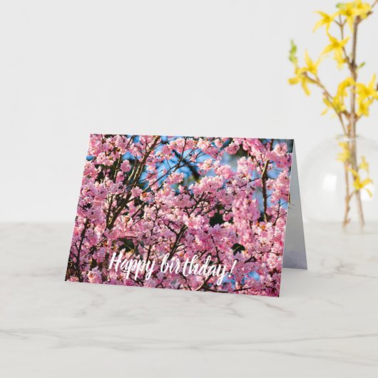 春のピンク桜に息をのむような開花の木 カード (黄色い花)