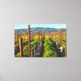 春のブドウ園 キャンバスプリント