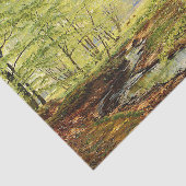 春のブナの木クリスチャン座長 薄葉紙 (詳細)