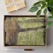 春のブナの木クリスチャン座長 薄葉紙 (ギフト)