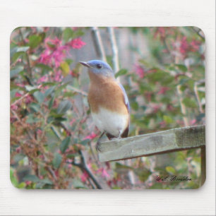 春のブルーバードのマウスパッド マウスパッド