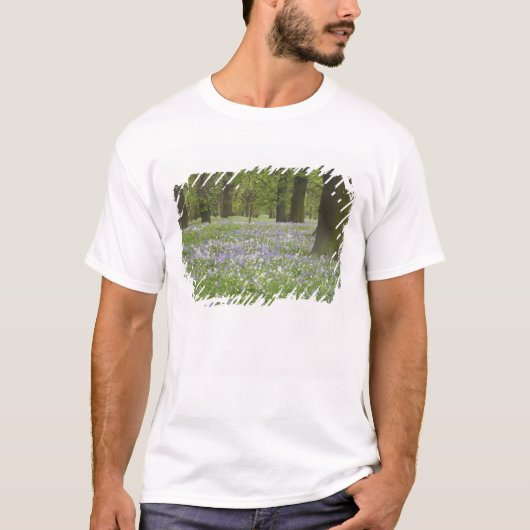 春のブルーベルとオークの木々 リトルハグリー Tシャツ (正面)
