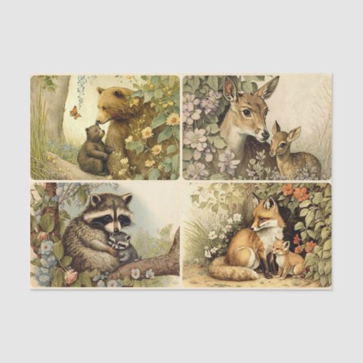 春のベビー 薄葉紙 (正面)