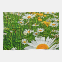 春のマーガレット分野