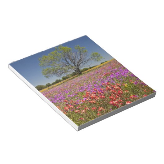 春のメスキートの木々は野草に生えていた。 ノートパッド (アングル)