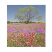 春のメスキートの木々は野草に生えていた。 ノートパッド (正面)