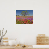 春のメスキートの木々は野草に生えていた。 ポスター (キッチン)