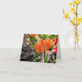 春のメッセージカードの色 カード (黄色い花)