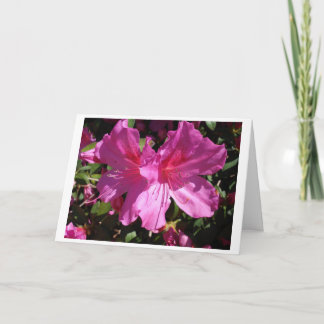 春のメッセージカード カード