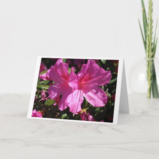 春のメッセージカード カード (正面)