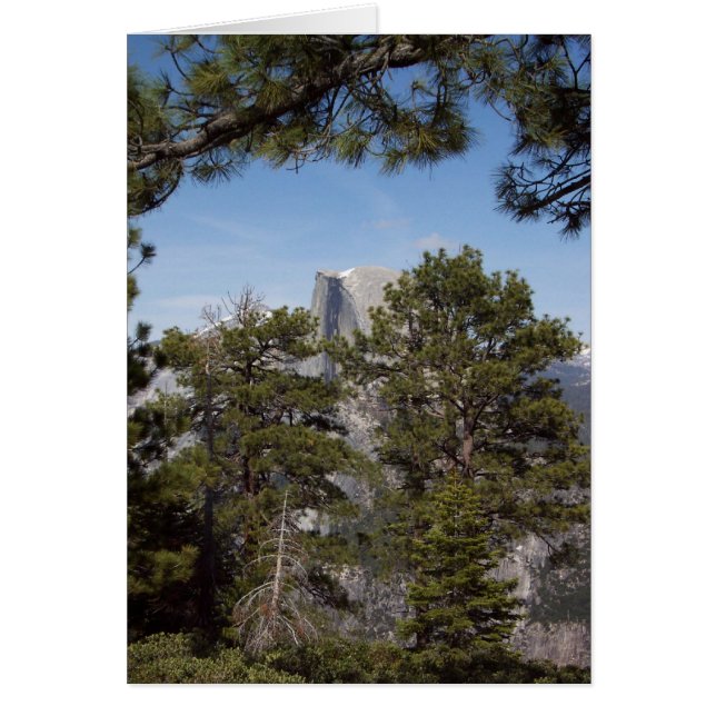 春のヨセミテ:  半分のドーム (正面)