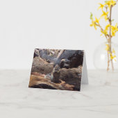 春のヨセミテ:  毛皮で覆われた友人 カード (黄色い花)