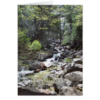 春のヨセミテ:  Bridalveilの滝の道