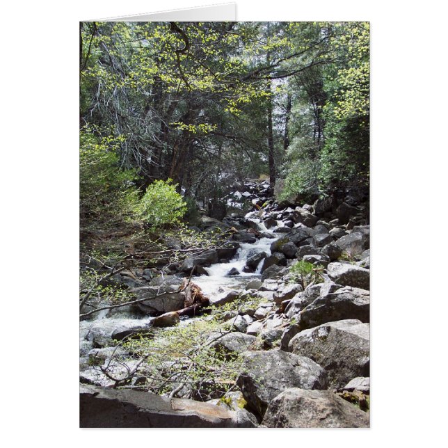 春のヨセミテ:  Bridalveilの滝の道 (正面)