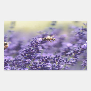 春のラベンダーと蜂の紫の花 長方形シール
