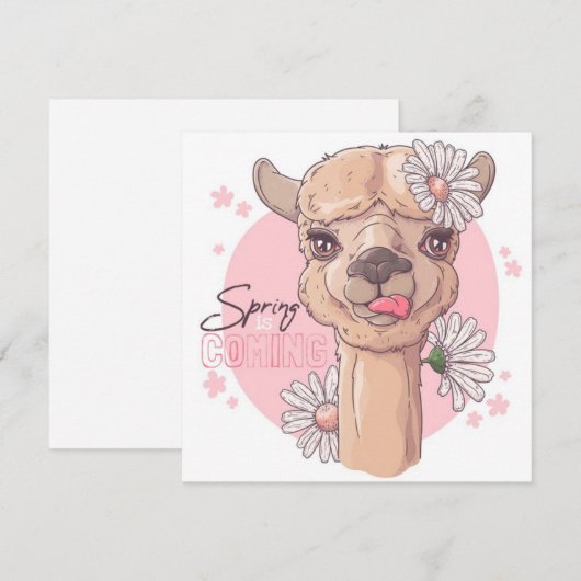 春のラマ シーズンカード (正面/裏面)