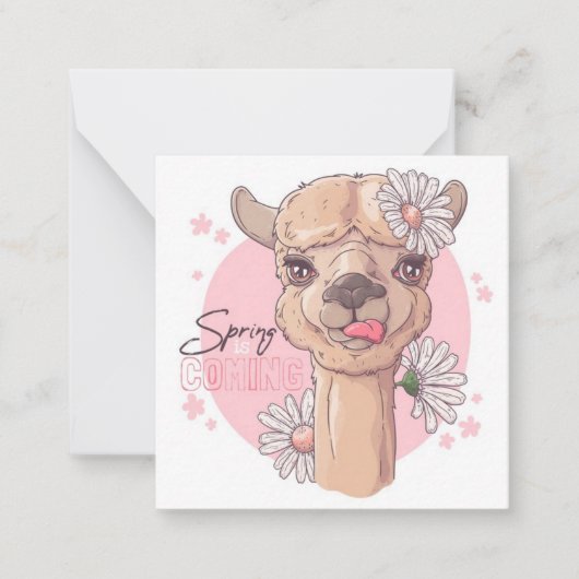 春のラマ ノートカード (正面)