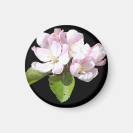 春のリンゴの花 フリッジマグネット 丸型 マグネット
