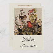 春のロビン 鳥 赤い鳥 バードウォッチング 招待状 (正面/裏面)