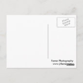 春の並木池と雑草のない沼 ポストカード (裏面)