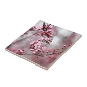 春の写真のピンクの花 タイル (側面)