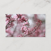 春の写真のピンクの花 名刺 (裏面)