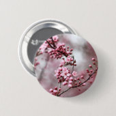 春の写真のピンクの花 缶バッジ (正面&裏面)