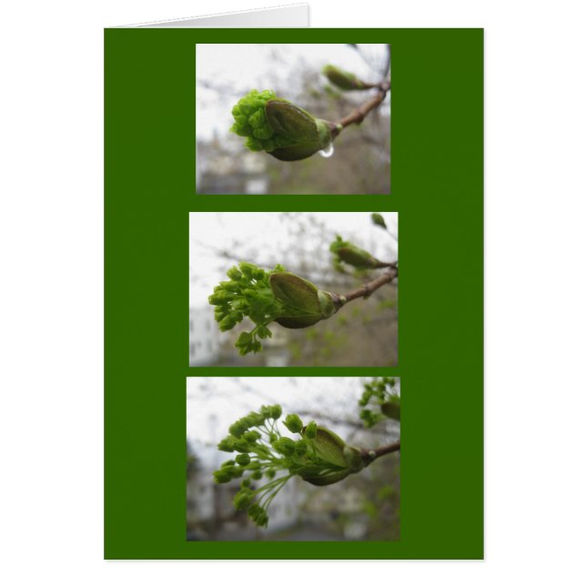 春の出現 (正面)