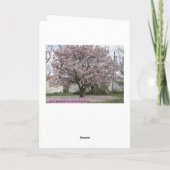 春の到着Magnolia Tulip Tree カード (裏面)