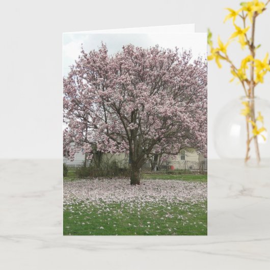 春の到着Magnolia Tulip Tree カード (黄色い花)