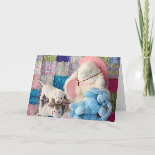 春の反射 カード (正面)