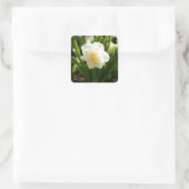 春の大きな白い水仙 スクエアシール (バッグ)