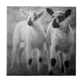 春の子ヒツジ タイル (正面)