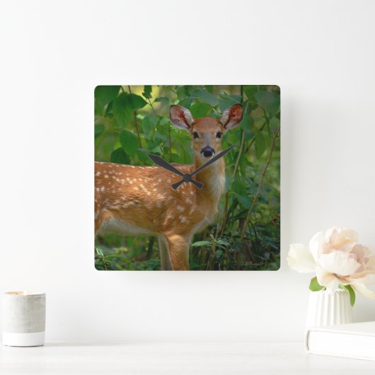 「春の子鹿」 スクエア壁時計 (ホーム)