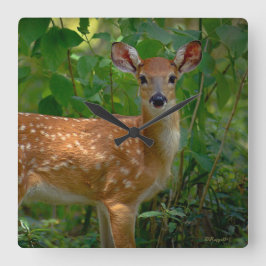 「春の子鹿」 スクエア壁時計