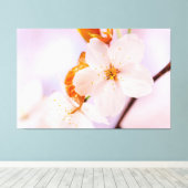 春の季節の桜の花の正面図 キャンバスプリント (インサイチュ (ウッドフロア))