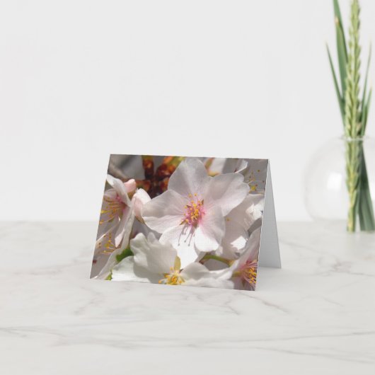 春の季節 サンキューカード (正面)