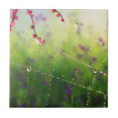 春の宝石 タイル (正面)