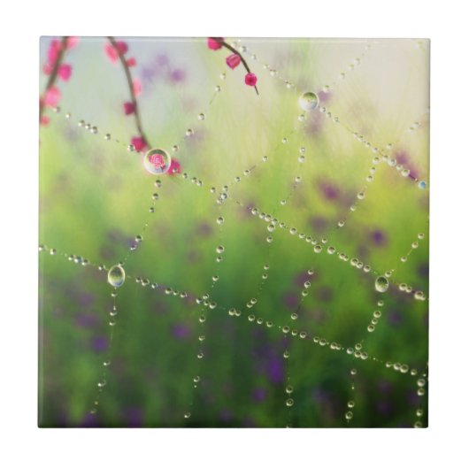 春の宝石 タイル (正面)