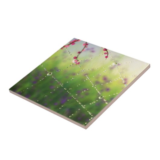 春の宝石 タイル (側面)