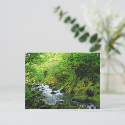 春の小川 ポストカード (スタンド正面)