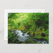 春の小川 ポストカード (正面/裏面)