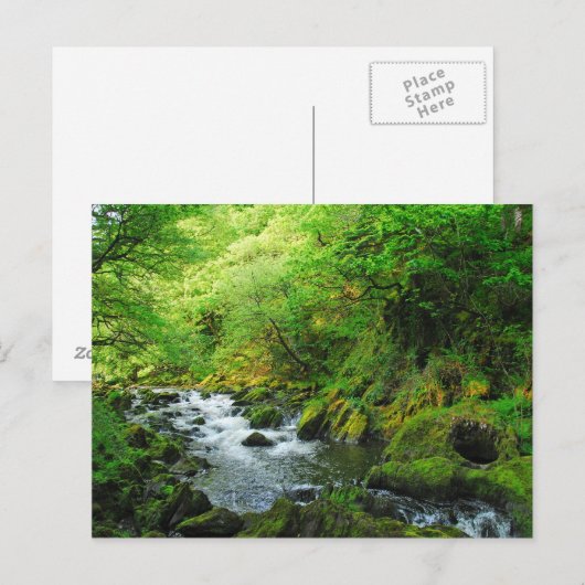 春の小川 ポストカード (正面/裏面)