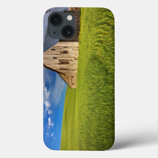 春の小麦畑の中の古い納屋 Case-Mate iPhoneケース (裏面)