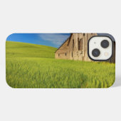 春の小麦畑の中の古い納屋 iPhoneケース (裏面横)