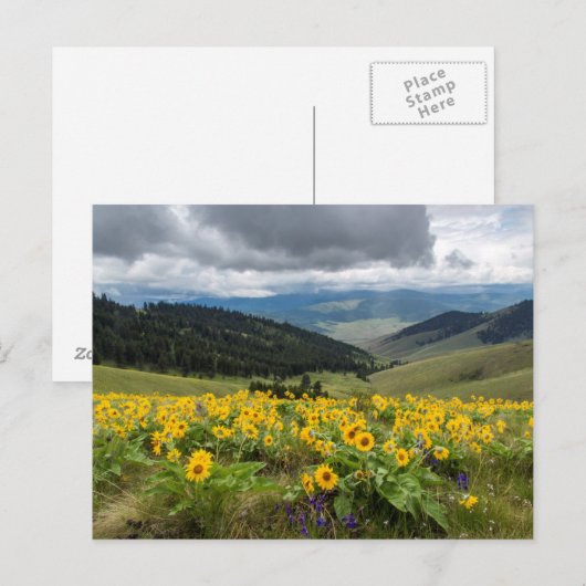 春の山の花 ポストカード (正面/裏面)