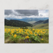 春の山の花 ポストカード (正面)