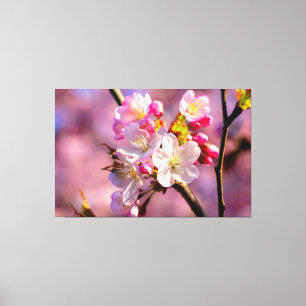 春の庭での新鮮な桜の花 キャンバスプリント