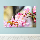 春の庭に咲く優しい桜の花 キャンバスプリント (インサイチュ (ウッドフロア))